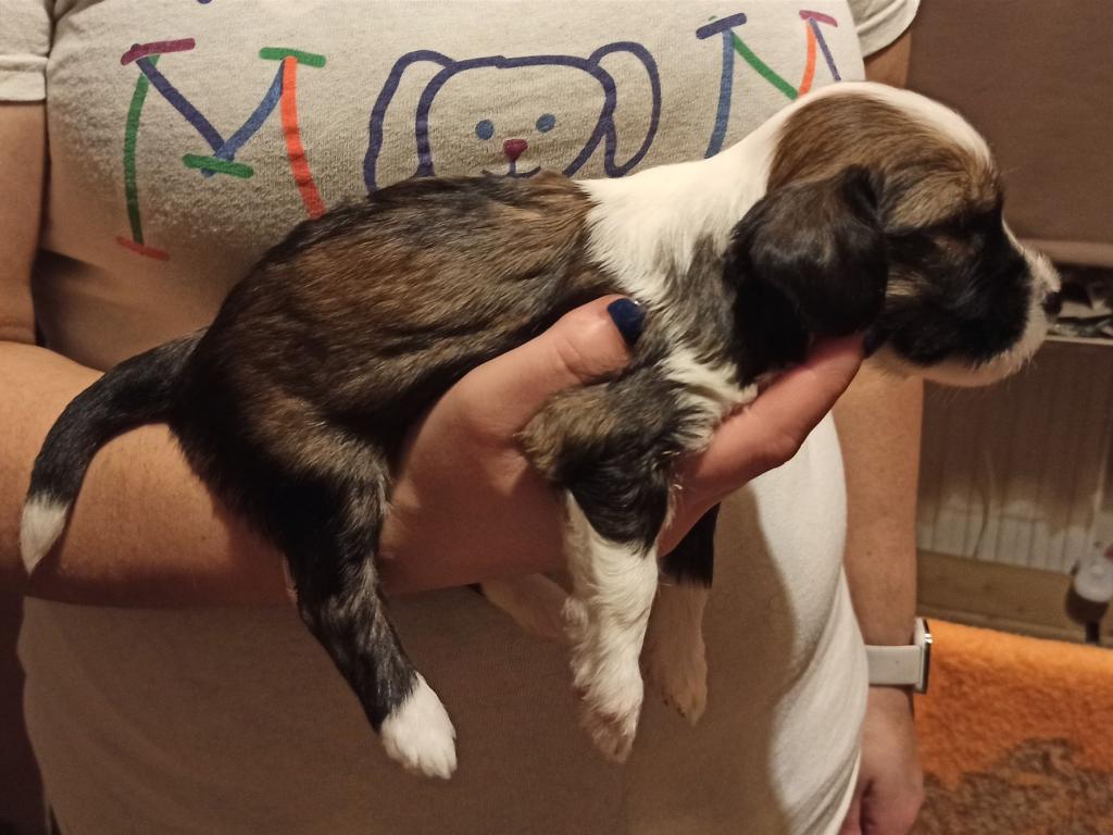 IMG_20260129_172257~2