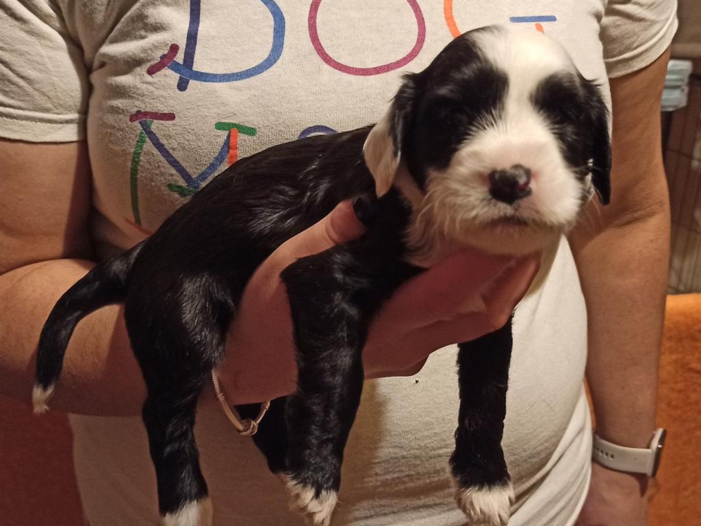 IMG_20260129_172542~2