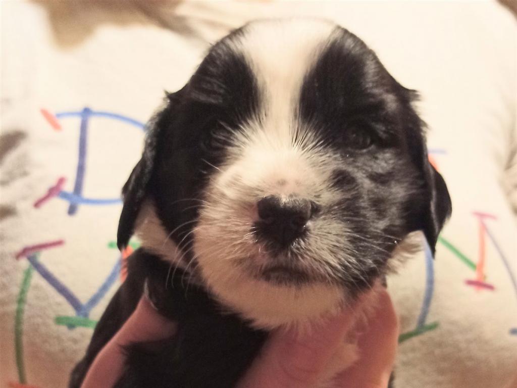 IMG_20260129_174257~2