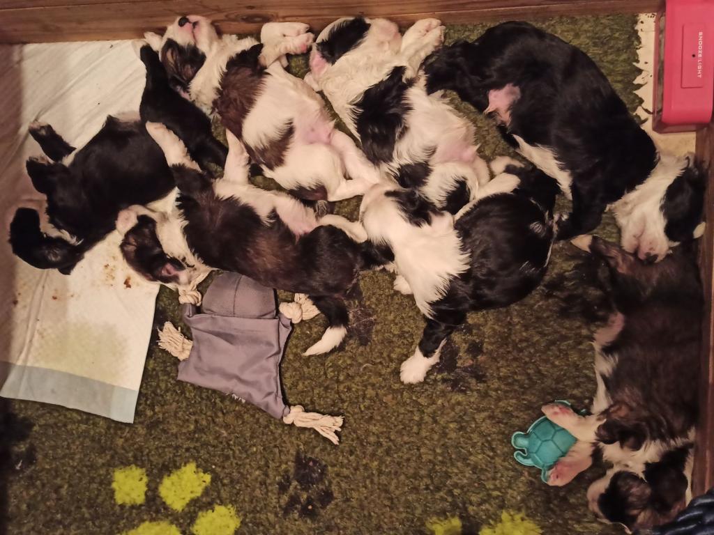 IMG_20260202_110656~2