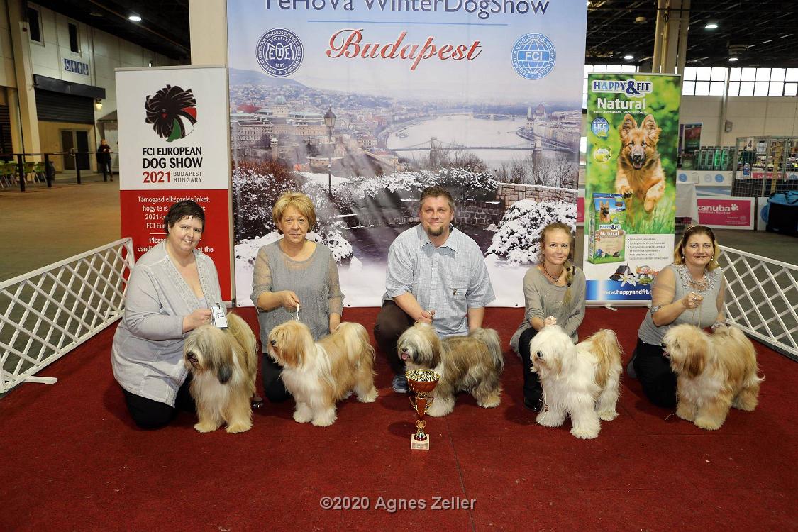 Tinghsa Bells Tibetan Terrier 0172