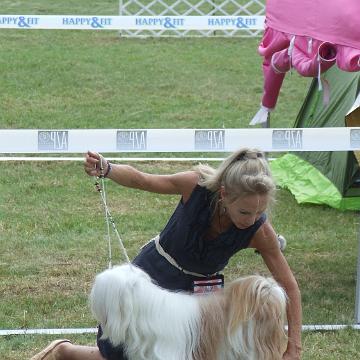 Tinghsa Bells Tibetan Terrier 0142