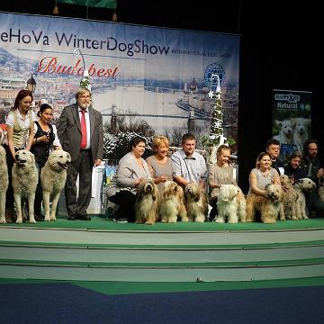 Tinghsa Bells Tibetan Terrier 0173